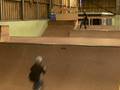 amazing scooter tricks by calum