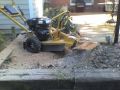 StumpAway Stump Grinding Service