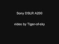 Sony A200 video