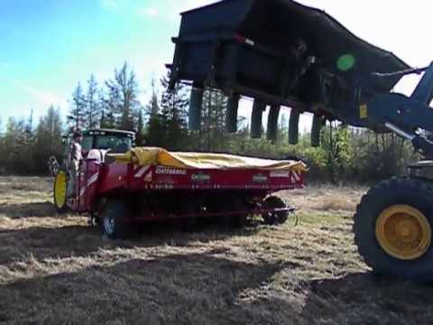 how to fertilize seed potatoes