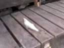 Pescando ( o buscando novios)