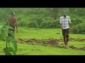 Jab We Met Dhoni