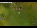 Jagex air gutair bug lolz Jagex air gutair bug lolz