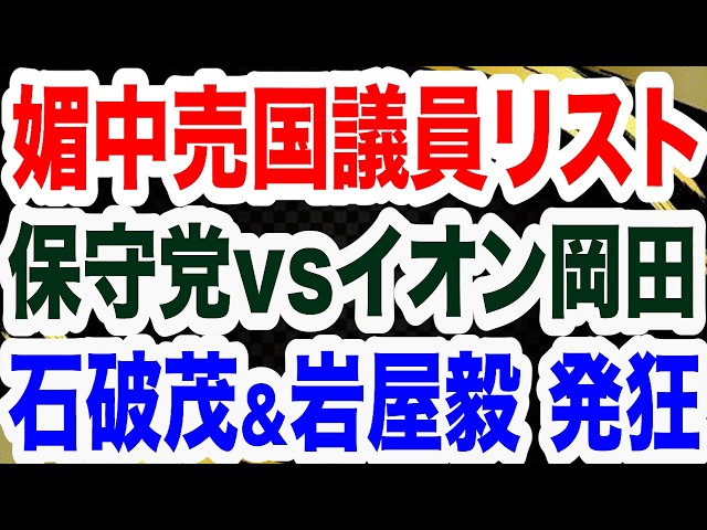 岡田氏『日中友好議連への批判は侮辱ではない』