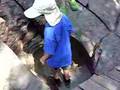 Raziel at Great Falls