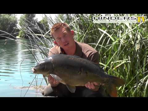 how to dissolve betaine