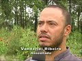 Permacultura - cultura permanente