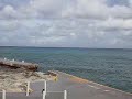 grand cayman   pre hurricane gustav
