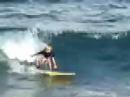 Leo surfing