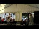 Donatello - Io Mi Fermo Qui (Live Berceto - Parma 2008)
