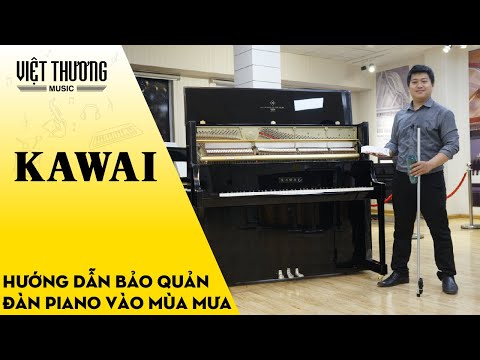 Hướng dẫn bảo quản đàn piano vào mùa mưa