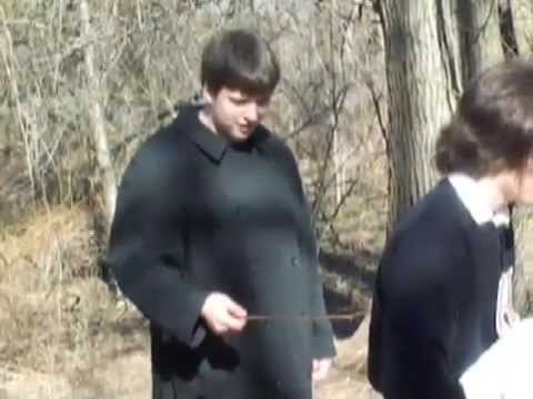 The Scarlet Letter: Strangers and ...