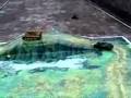 TORRO T34/85 & Tiger I. GEFECHTSIMULATION