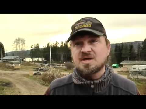 ULV - Her ser vi norske myndigheter utøve grov mishandling der de jakter en ulveflokk med helikoptre med geværer og full pakke. Samme dag som denne fyren fikk avsl...