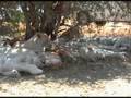 South African Vacation