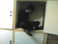 luke and sam mtv cribs