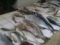 Dar es Salaam Fish Market