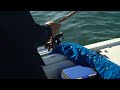 Fishing the San Diego Bay