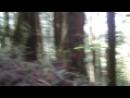 M4H00375.MP4