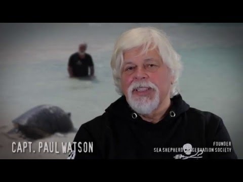 Why Just One?  Indiegogo Video