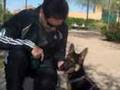 Nueva cachorrita en Rivas Vaciamadrid