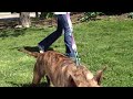 Click here to watch this video 