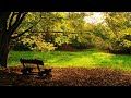 Sky Motion - Autumn Dreams (Soundlift Remix)