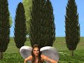 FINAL FANTASY SIMS 2 CONSTEST