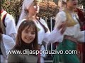 Dijaspora uzivo - Alma Subasic, spot