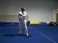 Isshinryu Karate - Hillsboro, OR USA