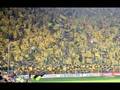 BvB Fans