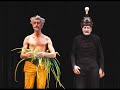 cirque du soleil tribute