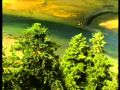 Stress Relief Relaxation Calming Sitting Qigong Meditation