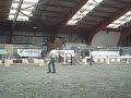 equid\ equid\