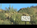 A golfers dream home site! Build your custom luxury home overlooking the 15th Tee Box of the Tom Weiskopf golf course in Silverleaf! One of the most spectacular Silverleaf custom homesites in one of this prestigious gated community's most in demand enclaves! This once in a lifetime homesite lets you build your dream home tucked into the magnificent McDowell Mountains with one of the most famous golf courses in the world right outside your doorstep. Found in desired Horseshoe Canyon, this 5.14 acre Silverleaf lot overlooking the15th tee box of the Tom Weiskopf golf course, is just one of 24 coveted sites in this highly sought after neighborhood. This stunning lot features additional views of multiple other fairways including the 14th 16th and 17th greens. Adding to the allure is the protection of The McDowell Mountain Preserve, which surrounds nearly three-quarters of the homesite. An enormous 75938 building envelope makes this Silverleaf custom home lot one of the best opportunities to build your dream home with everything you could possibly want. Highlights include: Premium golf course location, views of multiple fairways, mountain and city light views, an enormous building envelope, prime McDowell Mountain Preserve location and all of the five-star, members only amenities offered at Silverleaf including; the world class spa, fine and casual dining and the signature Tom Weiskopf designed golf course. For more information on Scottsdale luxury homes and homesites for sale <b>...</b>