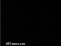 www.nesguide.com
