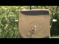 PSE X-force 6 Rage bh @ 20 yards PSE X-force 6 Rage bh @ 20 yards