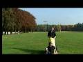 videos de Hier in mijn hart helly