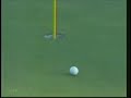 Incredible Golf Shot By Tiger Woods