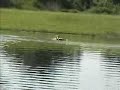 RC Airboat RC Airboat
