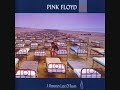 Pink Floyd Dogs of War