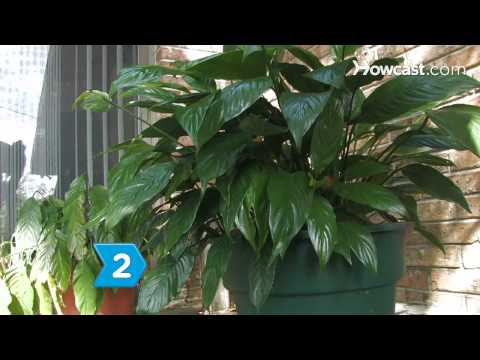 how to provide drainage for potted plants