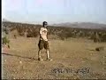 The Desert Fox - Barstow, CA