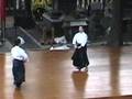 Yagyu Shingan Ryu Heijutsu Taijutsu I