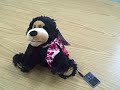 Fudge the Singing and Dancing Bear for iPods and MP3 Players Fudge the Singing and Dancing Bear for iPods and MP3 Players