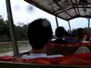 Subiendo el hacia Taman Negara