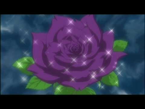 Enchanted Lavian rose