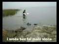 Koszalin i okolice ( Koszalin and its surroundings, Poland) - 05-14