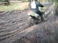 Gotland gran national 08