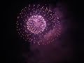fireworks peony fireworks peony